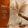 5 Pampas Pop