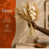 Pampas mix